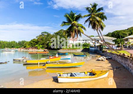 Viele bunte kleine Holzboote, die in der Bucht Baie Sainte Anne auf der Insel Praslin festgemacht sind, mit Palmen und tropischen Pflanzen, weißem Sandstrand und Stockfoto