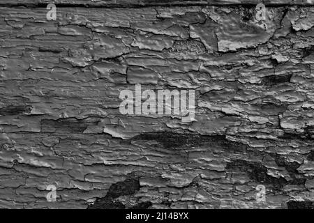 Dunkelgraue Farbe blättert von der alten Holzoberfläche ab Stockfoto