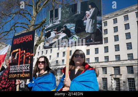 Am 19. 2022. März, dem 24. Tag des Krieges in der Ukraine, demonstrieren Demonstranten gegenüber der Downing Street, London, um sich Putins Krieg gegen die Ukraine zu widersetzen Stockfoto