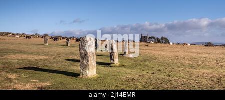 Ein Panoramabild des frühen Nachmittagslichts über dem spätneolithischen frühen Bronzezeit stehende Steine die Hurler auf dem Craddock Moor auf dem rauen Bodmin Stockfoto