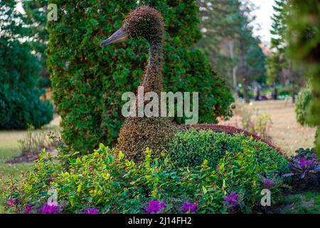 Bilder aus dem botanischen Garten Iasi Rumänien Stockfoto