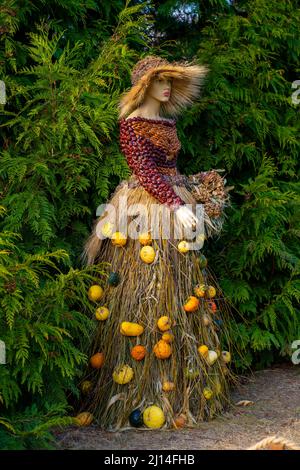 Bilder aus dem botanischen Garten Iasi Rumänien Stockfoto