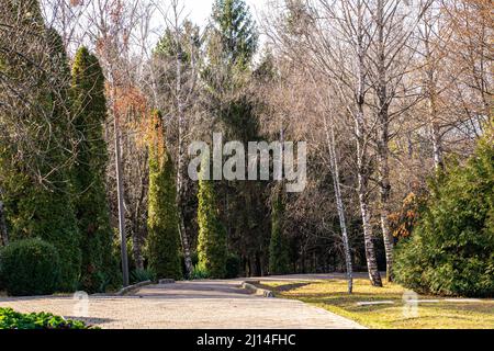 Bilder aus dem botanischen Garten Iasi Rumänien Stockfoto