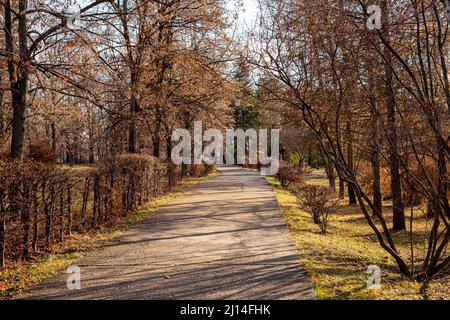 Bilder aus dem botanischen Garten Iasi Rumänien Stockfoto