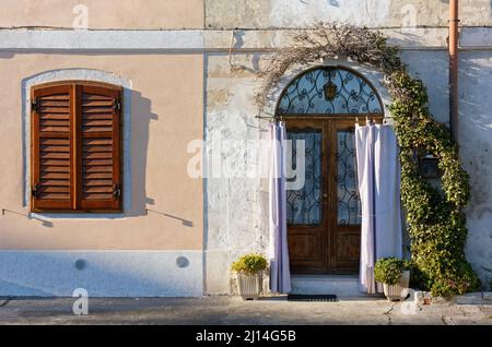 Nahaufnahme der Fassade eines Gebäudes mit einer schönen Holztür, die von Weinreben umgeben ist, und einem Fenster mit geschlossenen Fensterläden Stockfoto