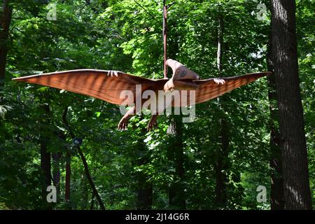 DINO PARK, KHARKOV - 8. AUGUST 2021: Dinosaurier-Statue im Waldpark in der Natur als Hintergrund. Realistisches Modell der Pterosaur-Trias- Kreidezeit /248- Stockfoto