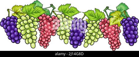 Cartoon-Illustration von Trauben von weißen und roten und schwarzen oder blauen Trauben Obst Lebensmittel Objekte Stock Vektor
