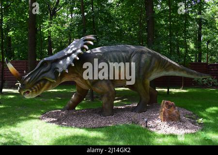DINO PARK, KHARKOV - 8. AUGUST 2021: Tagesansicht der wunderschönen Dinosaurier-Skulptur im Park. Großes Modell des prähistorischen Dinosauriers styracosaurus in Stockfoto