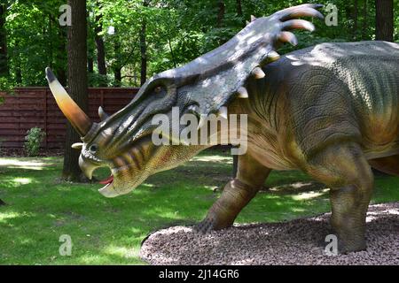 DINO PARK, KHARKOV - 8. AUGUST 2021: Tagesansicht der wunderschönen Dinosaurier-Skulptur im Park. Großes Modell des prähistorischen Dinosauriers styracosaurus in Stockfoto