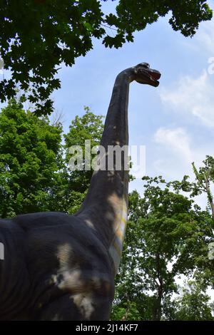 DINO PARK, KHARKOV - 8. AUGUST 2021: Blick auf die wunderschöne Dinosaurier-Skulptur im Park. Brachiosaurus realistisches Modell. Kopf dicht von Dinosaurier. Stockfoto