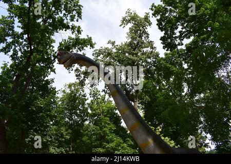 DINO PARK, KHARKOV - 8. AUGUST 2021: Blick auf die wunderschöne Dinosaurier-Skulptur im Park. Brachiosaurus realistisches Modell. Kopf dicht von Dinosaurier. Stockfoto