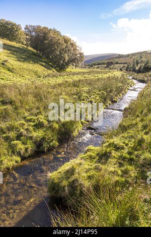 Das Tal des Conglass Water bei Blairnamarrow in der Nähe von Tomintoul, Moray, Schottland, Großbritannien. Stockfoto