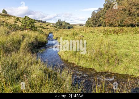 Das Tal des Conglass Water bei Blairnamarrow in der Nähe von Tomintoul, Moray, Schottland, Großbritannien. Stockfoto