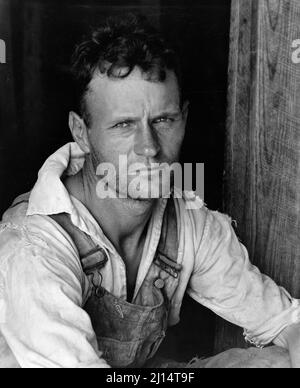 Alabama Baumwollanbau in der Großen Depression. Floyd Burroughs, Eine Baumwollteilhaberin, Hale County, Alabama von Walker Evans, 1936 Stockfoto
