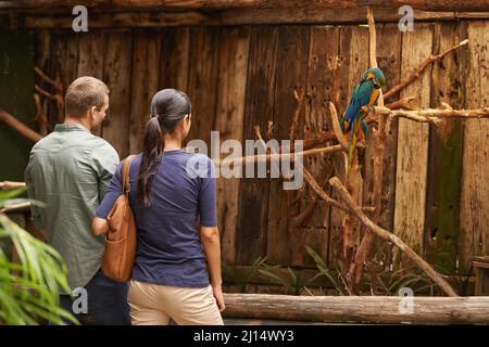 Beobachten der Vogelwelt. Ein junges Paar, das in einem Zoo Vögel ansieht. Stockfoto