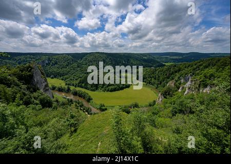 Blick vom Stiegelesfelsen auf das Donautal bei Fridingen, Oberes Donautal, Naturpark Obere Donau, Donau, Schwäbische Alb, Baden-Württemb Stockfoto