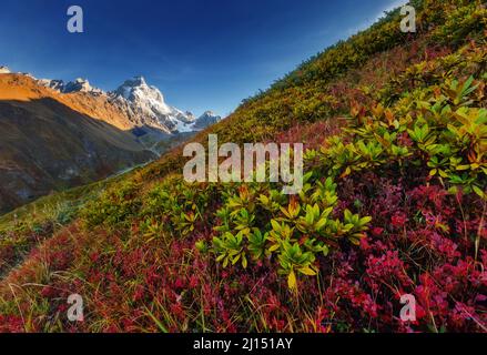 Fantastische Schneegipfel des Mt. Ushba im Morgenlicht. Dramatische und malerische Szene. Ort Ort Svaneti, Mestia, Georgien, Europa. Hochkaukasus Stockfoto