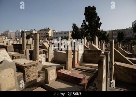 Der historische Trumpeldor-Friedhof in Tel Aviv, auch bekannt als „Alter Friedhof“, enthält Gräber von Israels großen Dichtern, Politikern und Künstlern. Stockfoto