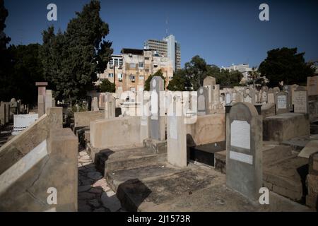 Der historische Trumpeldor-Friedhof in Tel Aviv, auch bekannt als „Alter Friedhof“, enthält Gräber von Israels großen Dichtern, Politikern und Künstlern. Stockfoto