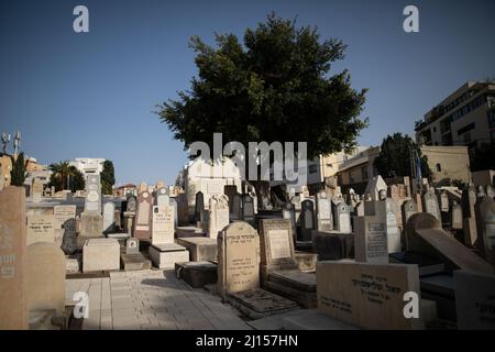 Der historische Trumpeldor-Friedhof in Tel Aviv, auch bekannt als „Alter Friedhof“, enthält Gräber von Israels großen Dichtern, Politikern und Künstlern. Stockfoto