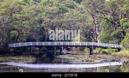 Holzbrücke über den Hacking River, Royal National Park, New South Wales Australien Stockfoto
