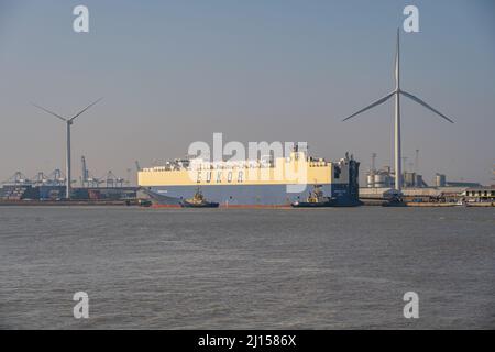 Autotransporter rühmen sich, an den Tilbury Docks in Essex festgemacht zu sein. Stockfoto