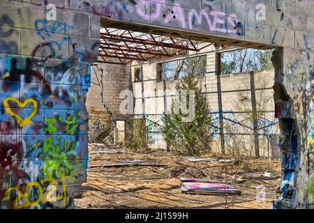 Die Ad-Hanna-Schule wurde in den 1960er Jahren für widerspenstige Studenten in Alabama gegründet, aber jetzt sind die Ruinen mit Graffiti bedeckt und der Natur überlassen. Stockfoto