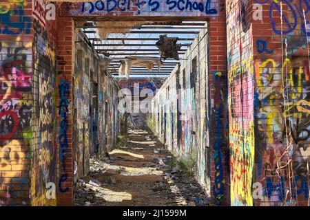 Die Ad-Hanna-Schule wurde in den 1960er Jahren für widerspenstige Studenten in Alabama gegründet, aber jetzt sind die Ruinen mit Graffiti bedeckt und der Natur überlassen. Stockfoto