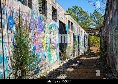 Die Ad-Hanna-Schule wurde in den 1960er Jahren für widerspenstige Studenten in Alabama gegründet, aber jetzt sind die Ruinen mit Graffiti bedeckt und der Natur überlassen. Stockfoto