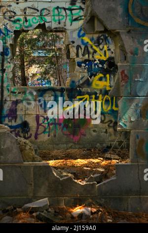 Die Ad-Hanna-Schule wurde in den 1960er Jahren für widerspenstige Studenten in Alabama gegründet, aber jetzt sind die Ruinen mit Graffiti bedeckt und der Natur überlassen. Stockfoto