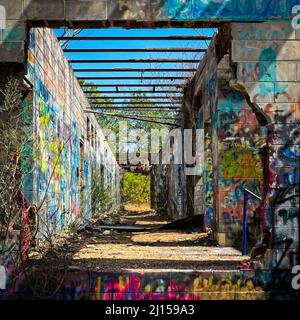 Die Ad-Hanna-Schule wurde in den 1960er Jahren für widerspenstige Studenten in Alabama gegründet, aber jetzt sind die Ruinen mit Graffiti bedeckt und der Natur überlassen. Stockfoto