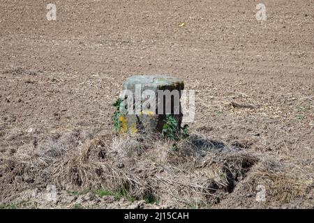 Historischer Grenzstein mit Inschrift 183 an der Grenze zwischen frankreich und Deutschland im Saarland Stockfoto