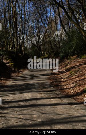 Von Bäumen gesäumter Fußweg in der Friday Street in Surrey England Stockfoto