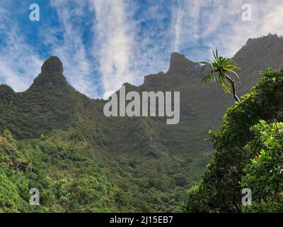 Blick auf die hoch aufragenden Meeresklippen oder Pali, entlang des Kalalau Trail an der Na Pali Küste in Kapa'a Stockfoto