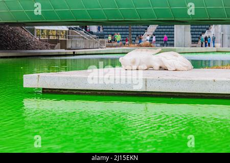 Am St. Patrick's Day wird das Wasser in Myriad Botanical Gardens in Oklahoma grün Stockfoto