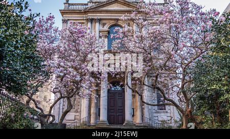 Blüht vor der St Mary Le Strand Church in London, Großbritannien Stockfoto