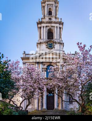 Blüht vor der St Mary Le Strand Church in London, Großbritannien Stockfoto