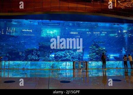 Das Innere des Glasaquariums in der größten Shopping Mall der Welt in Dubai Stockfoto