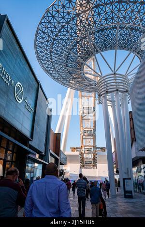 Zeneve London Store im Einkaufszentrum mit Ain Dubai im Hintergrund Stockfoto