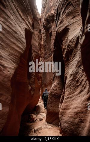 Wanderer gehen durch den Wire Pass Slot Canyon auf dem Weg zum Buckskin Gulch Stockfoto