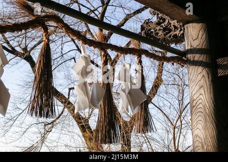 iida, nagano, japan, 2022/03/03 , Detail des Suijin-Tores, am Hakusan-Schrein. Dieses Tor ist das, was von der Edo-Zeit nach der Abschaffung o übrig bleibt Stockfoto