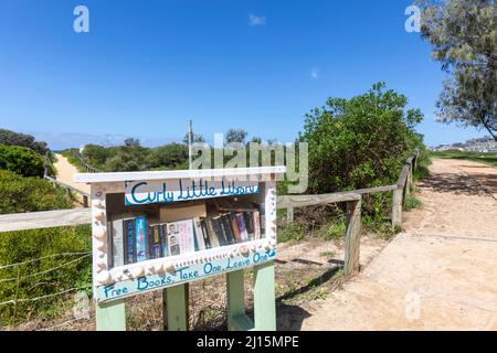 Lockige kleine Bibliothek, kleine Bücherbibliothek am Curl Curl Beach in Sydney, NSW, Australien Stockfoto