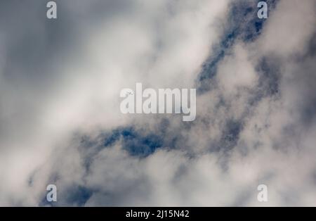 Gaza, Palästina. 22. März 2022. Ein israelisches Aufklärungsflugzeug fliegt über Gaza-Stadt. Kredit: SOPA Images Limited/Alamy Live Nachrichten Stockfoto