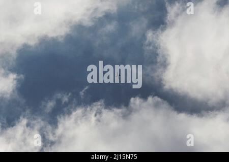 Gaza, Palästina. 22. März 2022. Ein israelisches Aufklärungsflugzeug fliegt über Gaza-Stadt. (Foto von Yousef Masoud/SOPA Images/Sipa USA) Quelle: SIPA USA/Alamy Live News Stockfoto