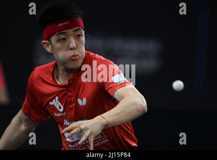 Doha, Katar. 22. März 2022. Qiu Dang aus Deutschland tritt beim WTT Contender Doha 2022 in Doha, der Hauptstadt von Katar, am 22. März 16 2022 in der Einzel-Runde der Männer zwischen Qiu Dang aus Deutschland und Simon Gauzy aus Frankreich an. Kredit: Nikku/Xinhua/Alamy Live Nachrichten Stockfoto