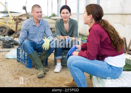 Drei junge Leute diskutieren über etwas Spaß Stockfoto
