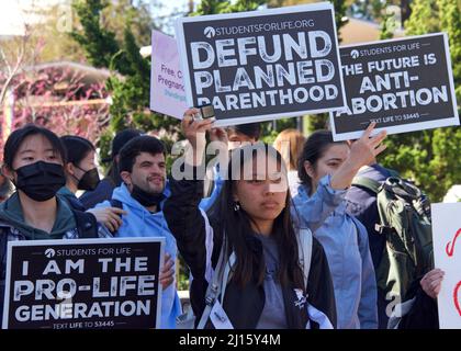 Berkeley, CA - 8. März 2022: Nicht identifizierte Gegenprotestierenden gegen den Anstieg der Abtreibungsrechte 4 protestieren in Sproul Plaza an der UC Berkeley, CA. Stockfoto