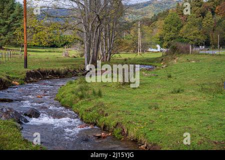 Ein schöner Blick auf den fließenden Fluss im Maggie Valley Stockfoto