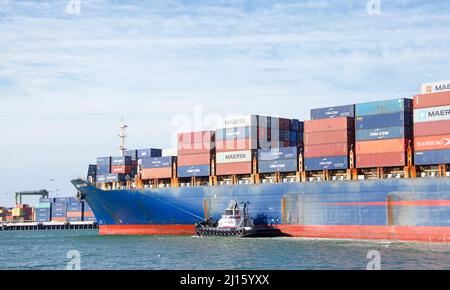 Oakland, CA - 14. Februar 2022: Die SCHLEPPERREVOLUTION unterstützt den Präsidenten des APL-Frachtschiffs CLEVELAND beim Manöver in den Hafen von Oakland, dem fünftgrößten Hafen Stockfoto