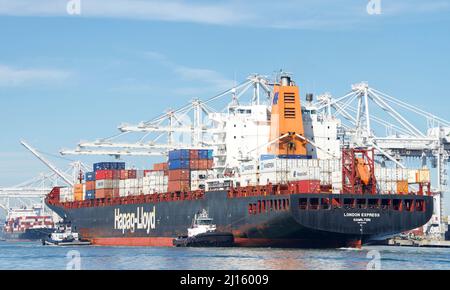 Oakland, CA - 01. März 2022: Schlepper, die das Hapag-Lloyd Frachtschiff LONDON EXPRESS unterstützen, manövrieren in den Hafen von Oakland. Stockfoto